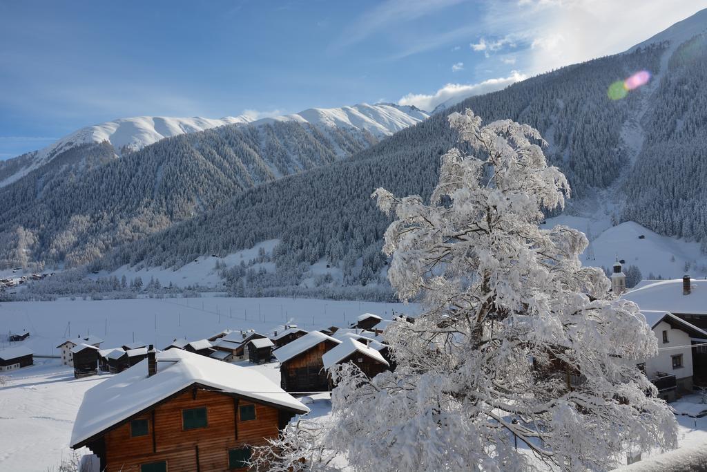 โฮเทล เรสเตอรองท์ วัลลีเซอร์ ซอนเนอ Hotel Reckingen ภายนอก รูปภาพ