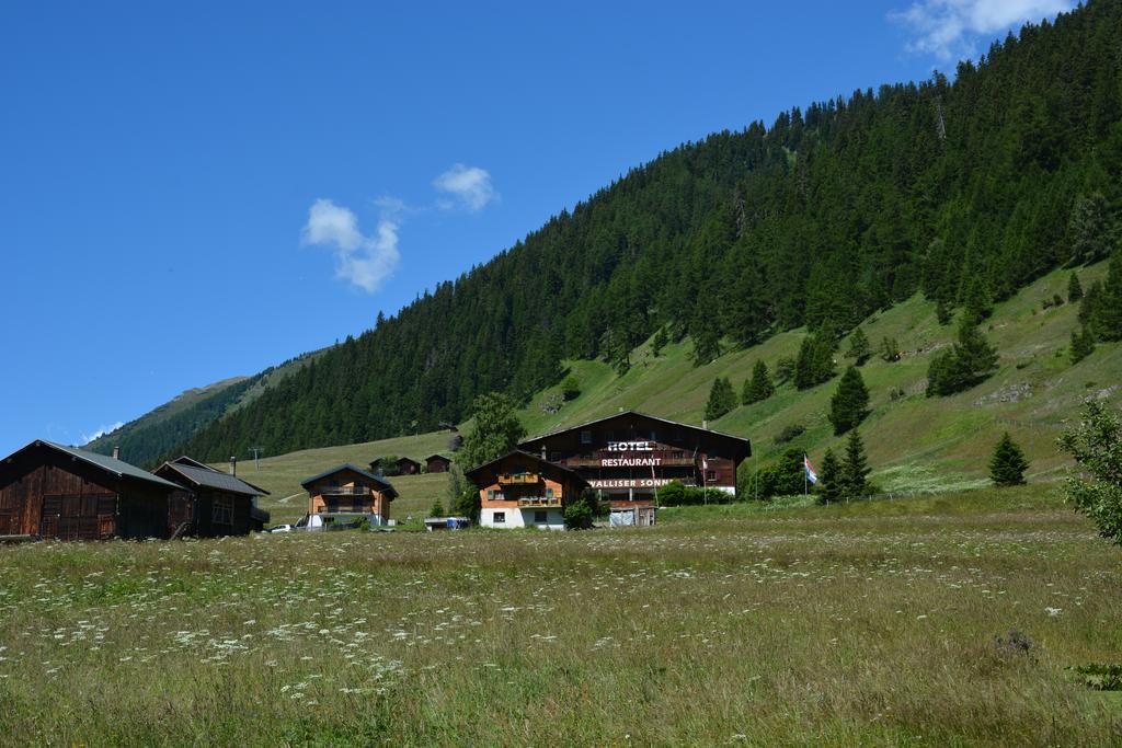 โฮเทล เรสเตอรองท์ วัลลีเซอร์ ซอนเนอ Hotel Reckingen ภายนอก รูปภาพ