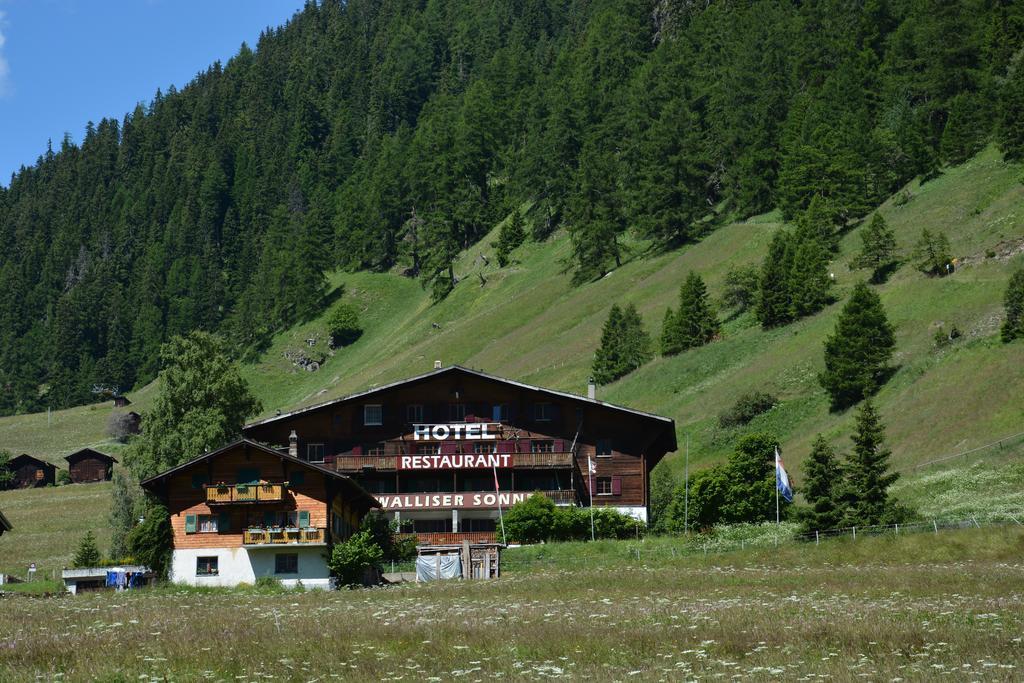 โฮเทล เรสเตอรองท์ วัลลีเซอร์ ซอนเนอ Hotel Reckingen ภายนอก รูปภาพ