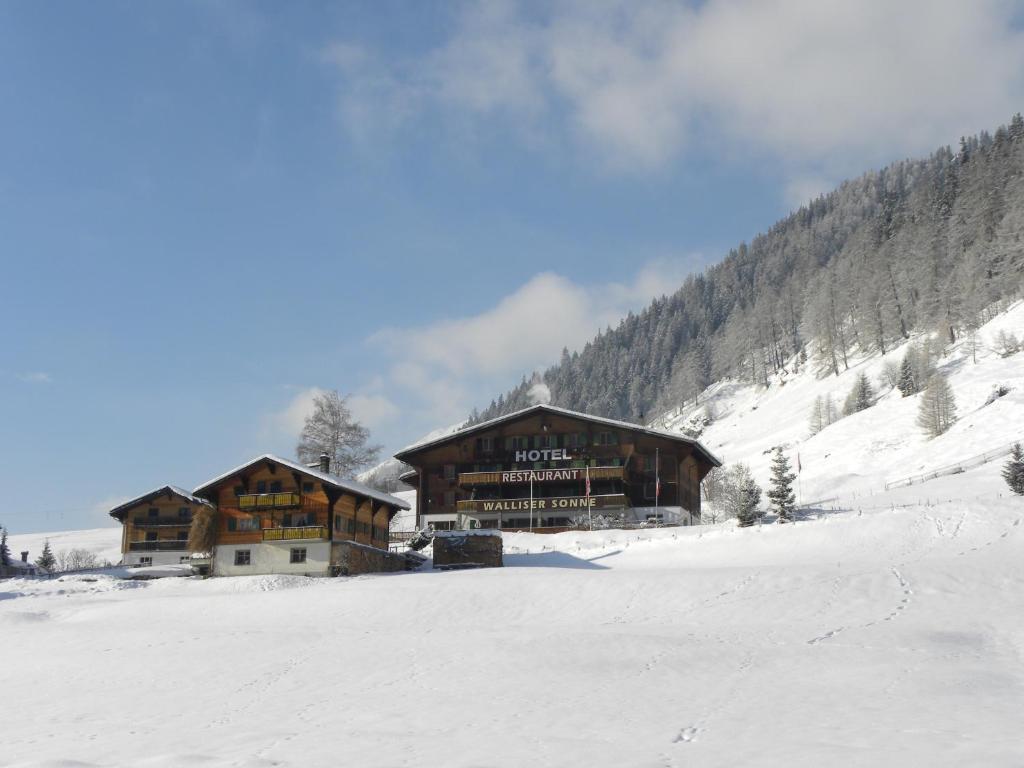 โฮเทล เรสเตอรองท์ วัลลีเซอร์ ซอนเนอ Hotel Reckingen ภายนอก รูปภาพ