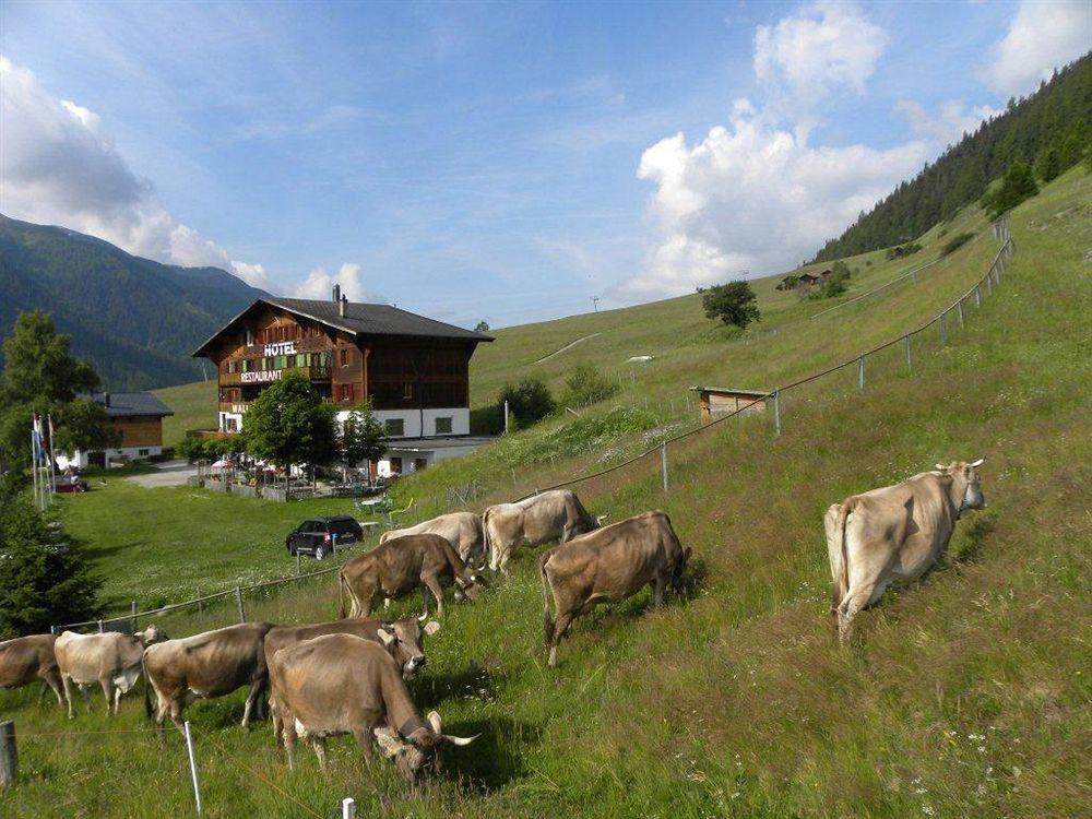 โฮเทล เรสเตอรองท์ วัลลีเซอร์ ซอนเนอ Hotel Reckingen ภายนอก รูปภาพ